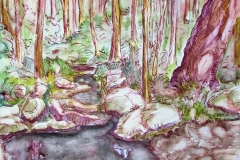 quiet-forest-stream